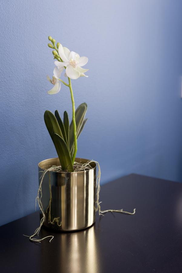 Stockholm Hotel Apartments Bromma ภายนอก รูปภาพ